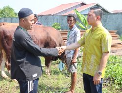 Polres Ketapang Serahkan 7 Ekor Sapi dan 8 Ekor Kambing Qurban di Momen Idul Adha