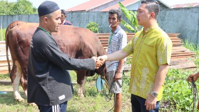 Polres Ketapang Serahkan 7 Ekor Sapi dan 8 Ekor Kambing Qurban di Momen Idul Adha