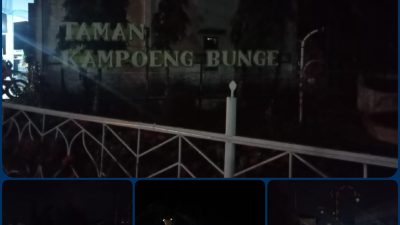 Taman “Kampoeng Bunge” Ketapang Gelap Gulita;Penerangan Tidak Berfungsi ,Terkesan dibiarkan Dinas Terkait