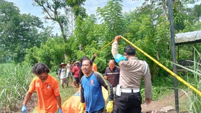 Penemuan Mayat Perempuan di Persawahan di Malang, Diselidiki Polisi