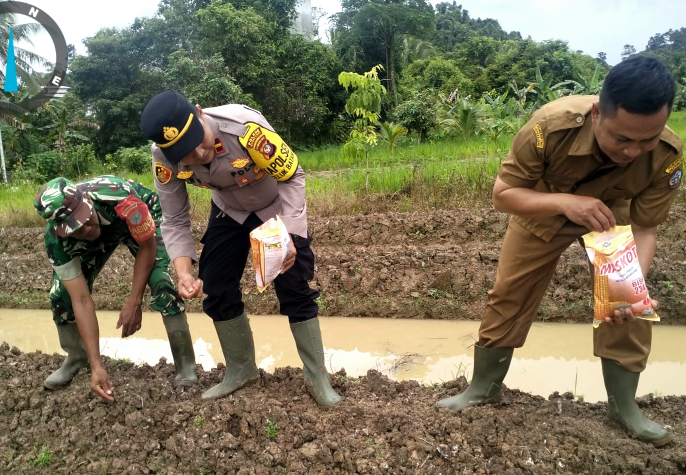 Kegiatan Penanaman Jagung Serentak 1 Juta Hektar Di Teluk Batang: Upaya Mendukung Swasembada Pangan(1)