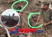 Aktivitas PETI Yang di Kelola Hairi, Diduga Dibekingi Aparat, Polres Ketapang Diminta untuk Segera Menindak Pelaku