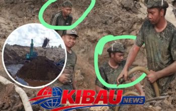 Aktivitas PETI Yang di Kelola Hairi, Diduga Dibekingi Aparat, Polres Ketapang Diminta untuk Segera Menindak Pelaku