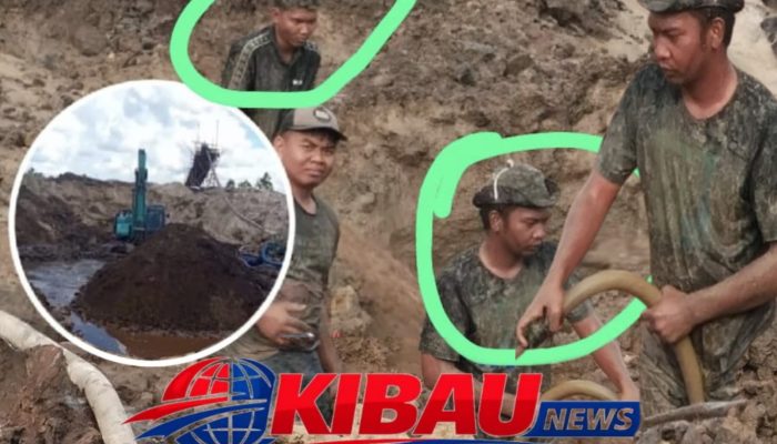 Aktivitas PETI Yang di Kelola Hairi, Diduga Dibekingi Aparat, Polres Ketapang Diminta untuk Segera Menindak Pelaku