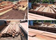 Diduga Milik Warga Bernama “AKAU” Tumpukan Kayu ILEGAL di Balai Bekuak