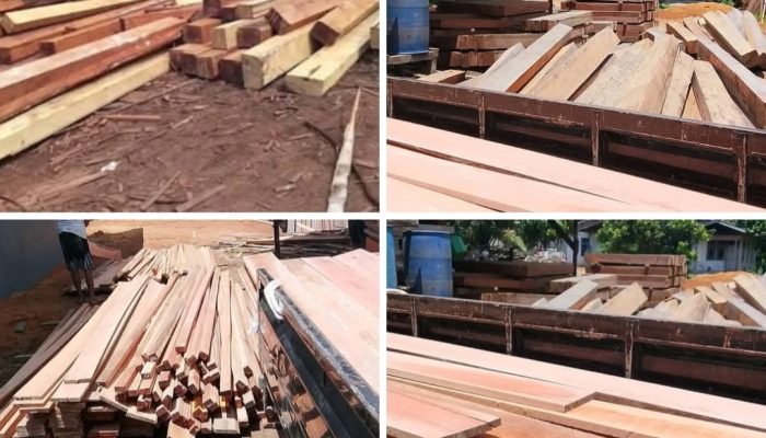 Diduga Milik Warga Bernama “AKAU” Tumpukan Kayu ILEGAL di Balai Bekuak
